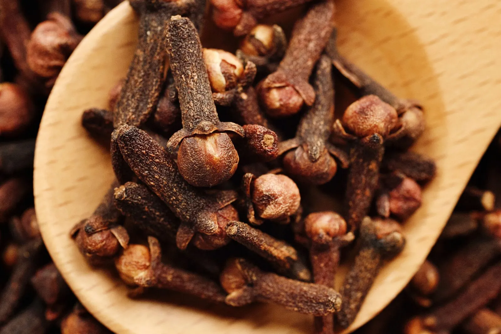 Dried Indonesian cloves in a wooden spoon resting on a bed of whole cloves