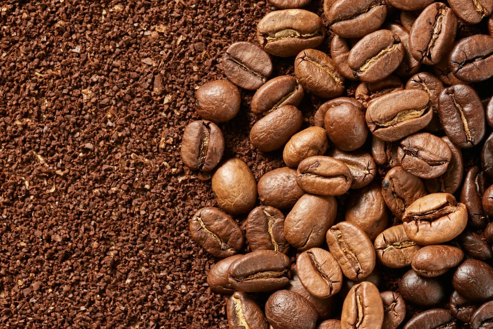 Roasted Indonesian coffee beans beside freshly ground coffee, shown from above