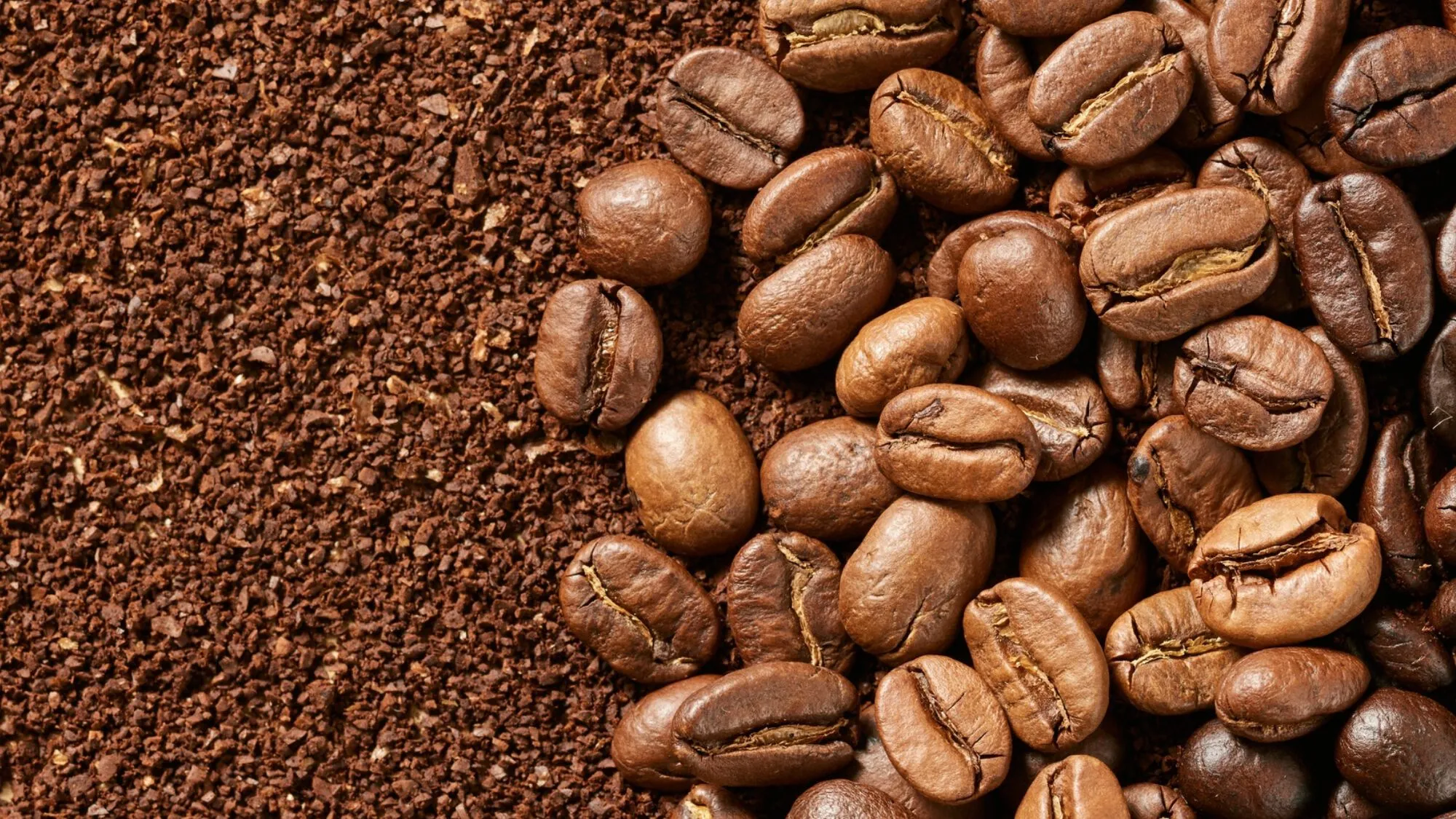 Indonesian coffee beans and freshly ground coffee, representing the agricultural commodities exported by PT URB Berkah Global