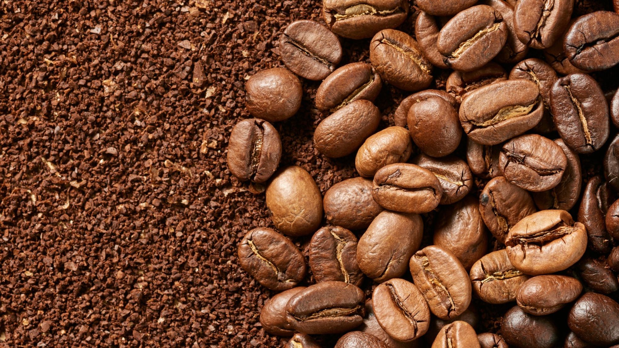 Indonesian coffee beans and freshly ground coffee, representing the agricultural commodities exported by PT URB Berkah Global