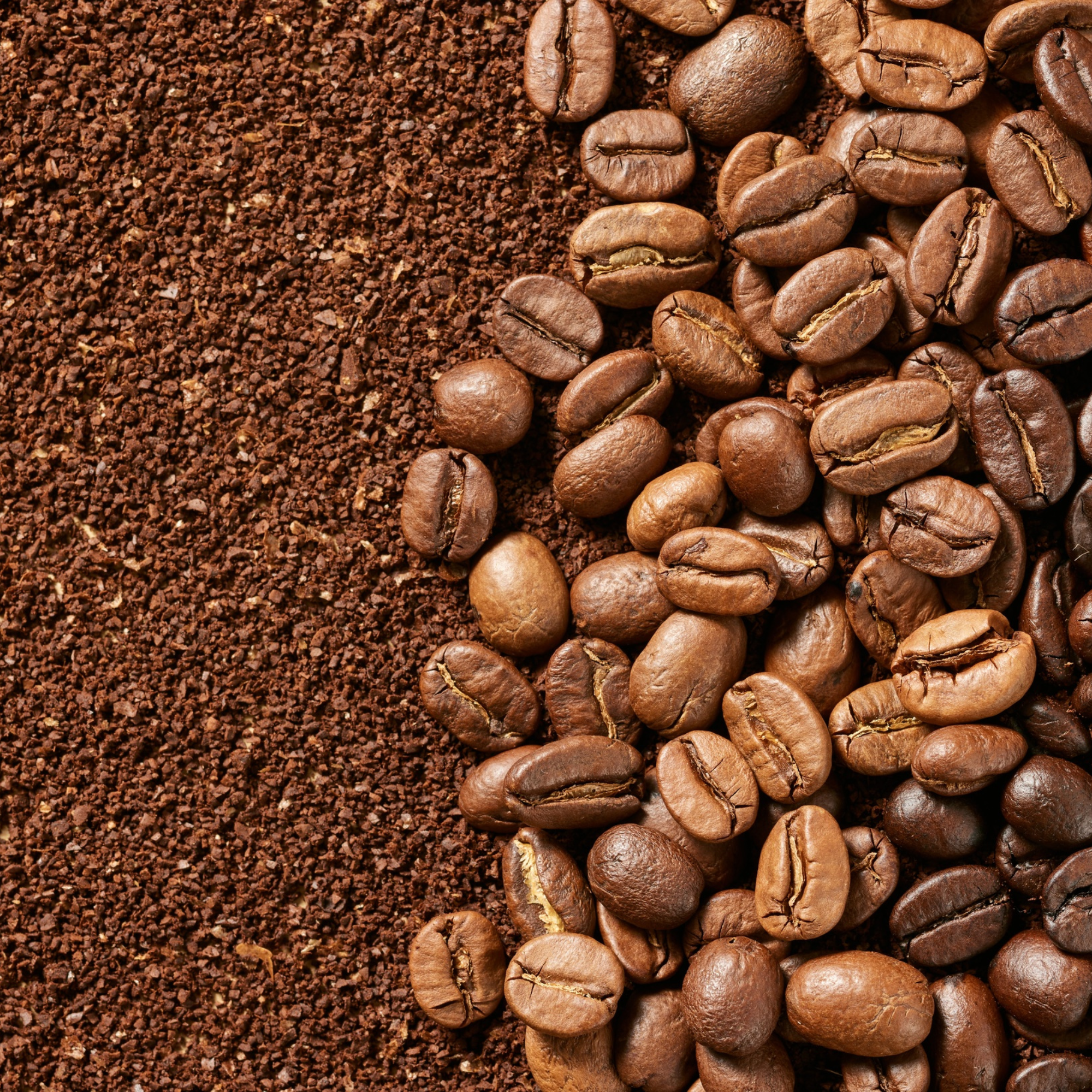 Roasted Indonesian coffee beans beside freshly ground coffee, shown from above